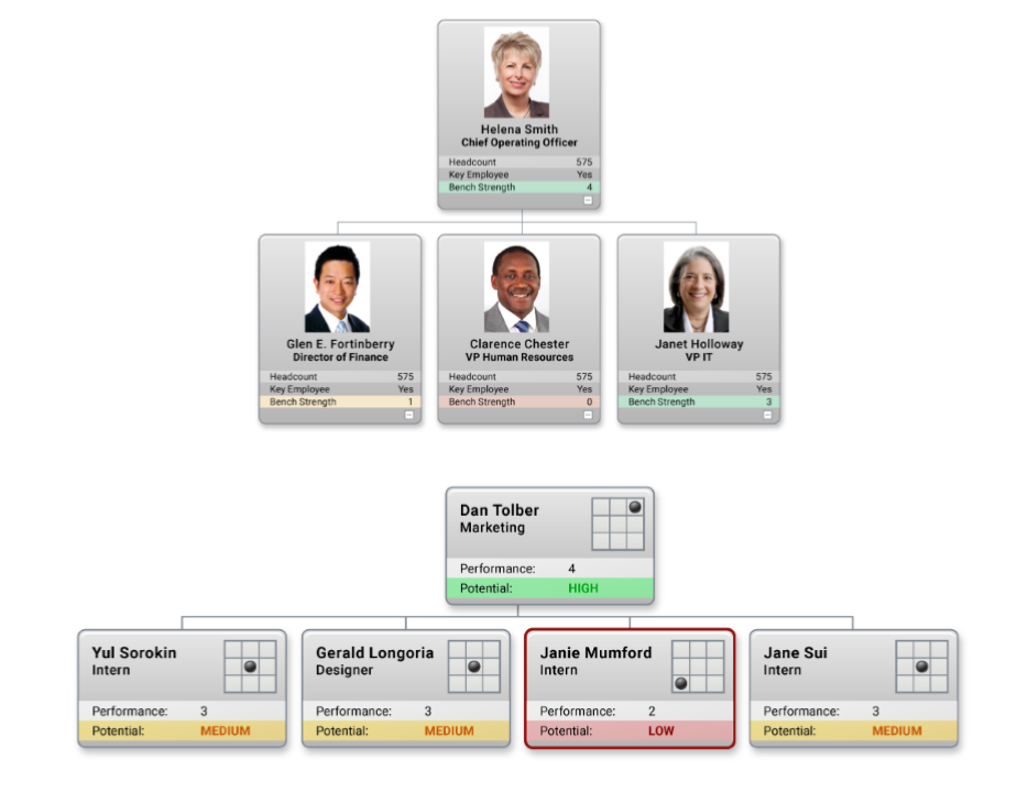 Succession Planning Chart